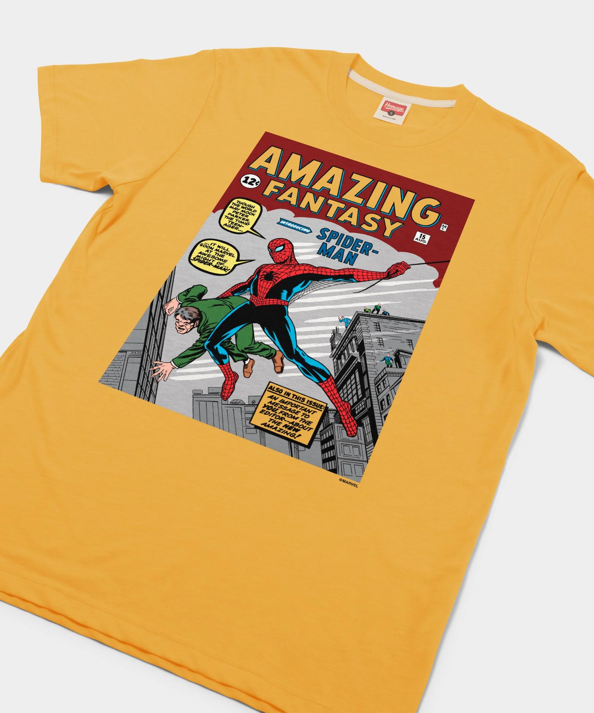 Amazing Fantasy Issue #15 - Image 2
