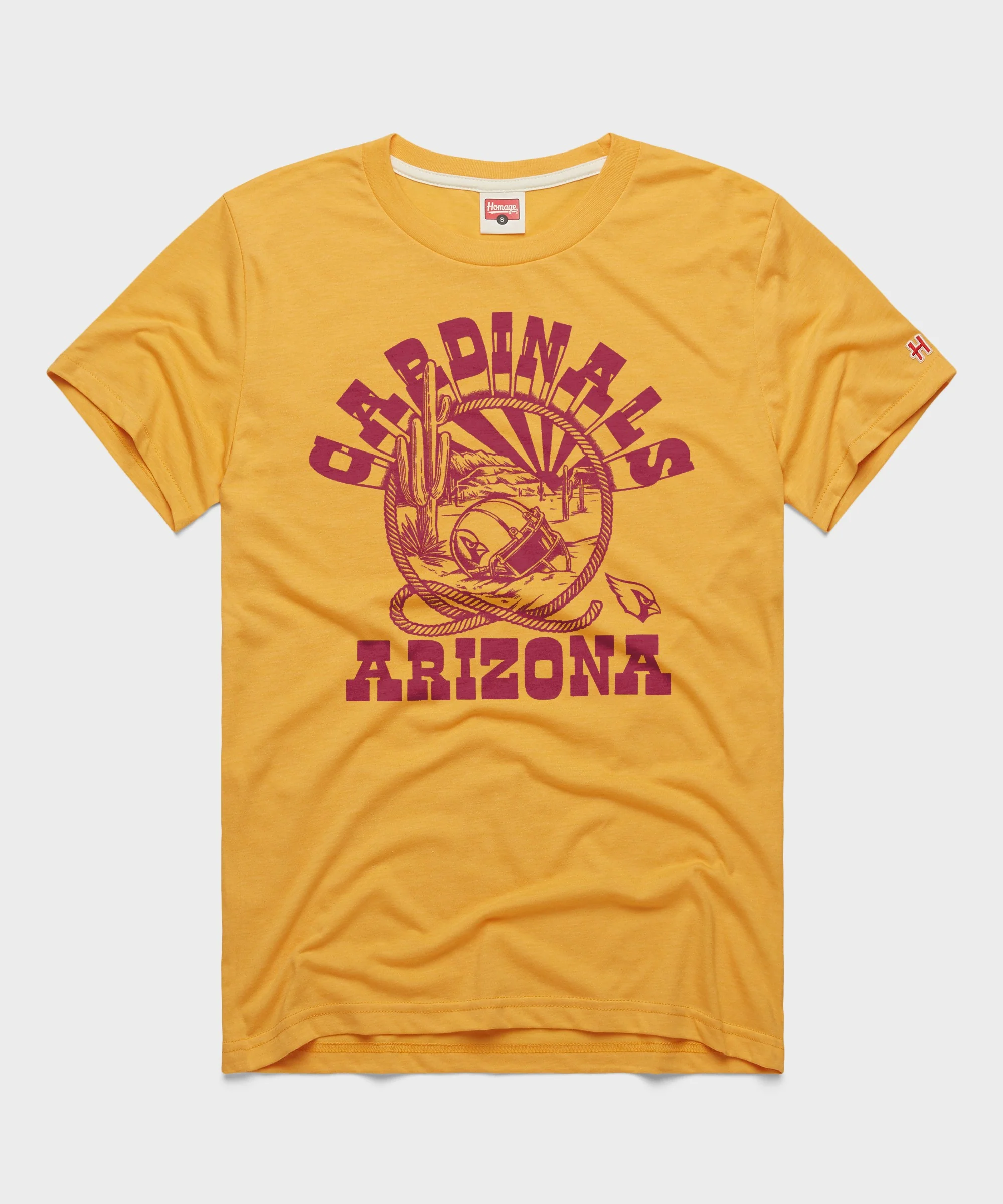 Arizona Cardinals Desert Landscape