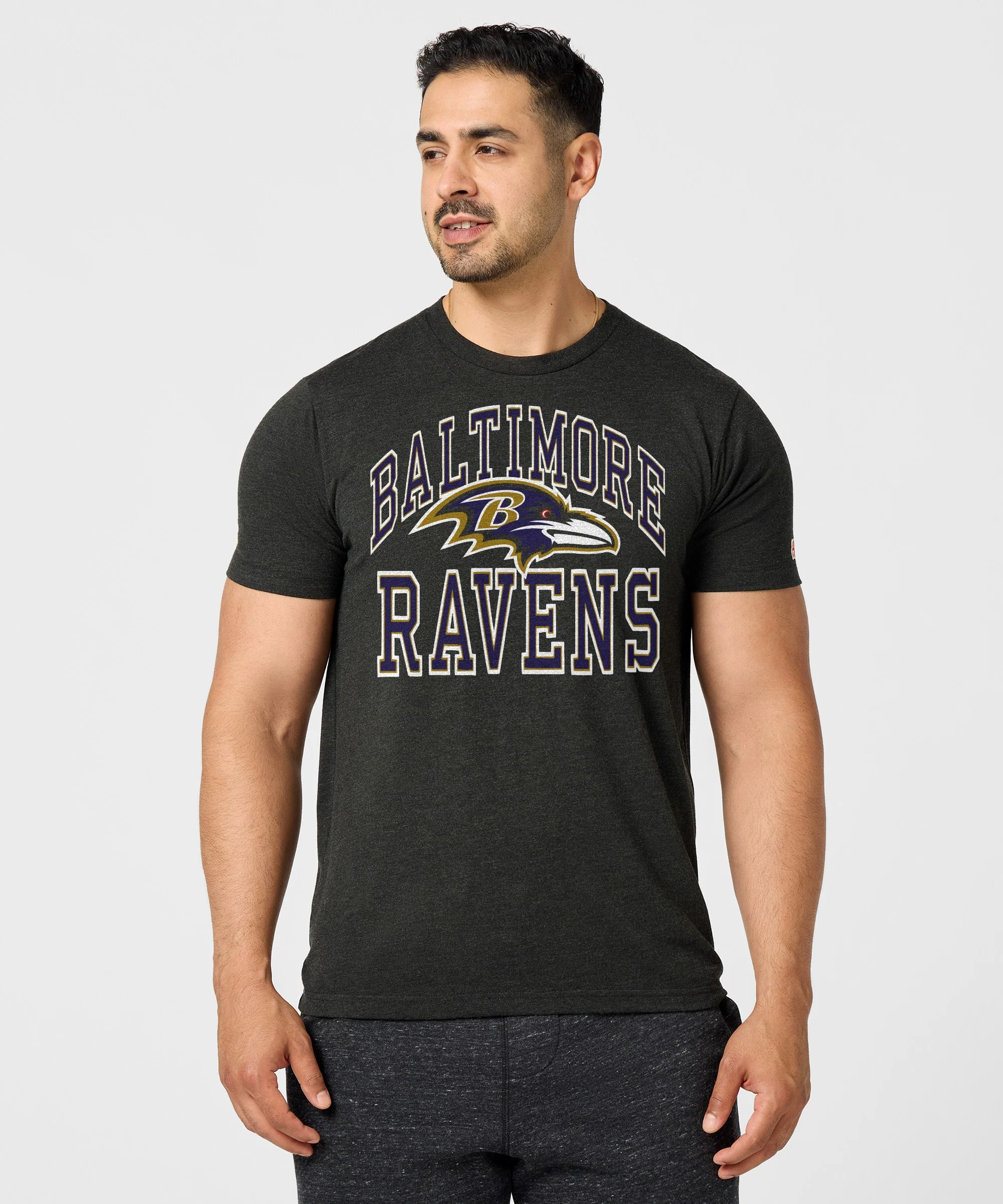Baltimore Ravens Arch - Image 3
