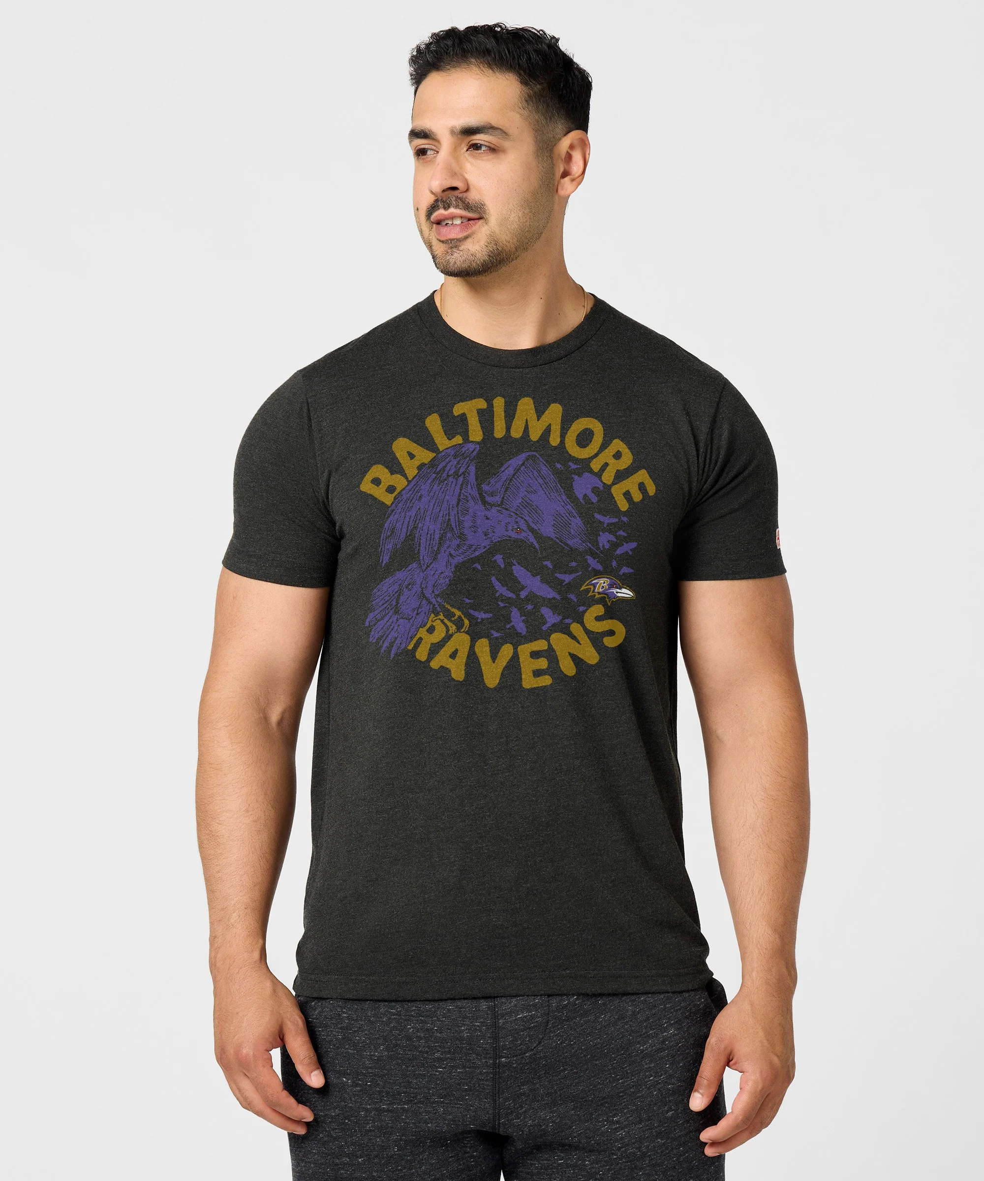 Baltimore Ravens The Raven - Image 3