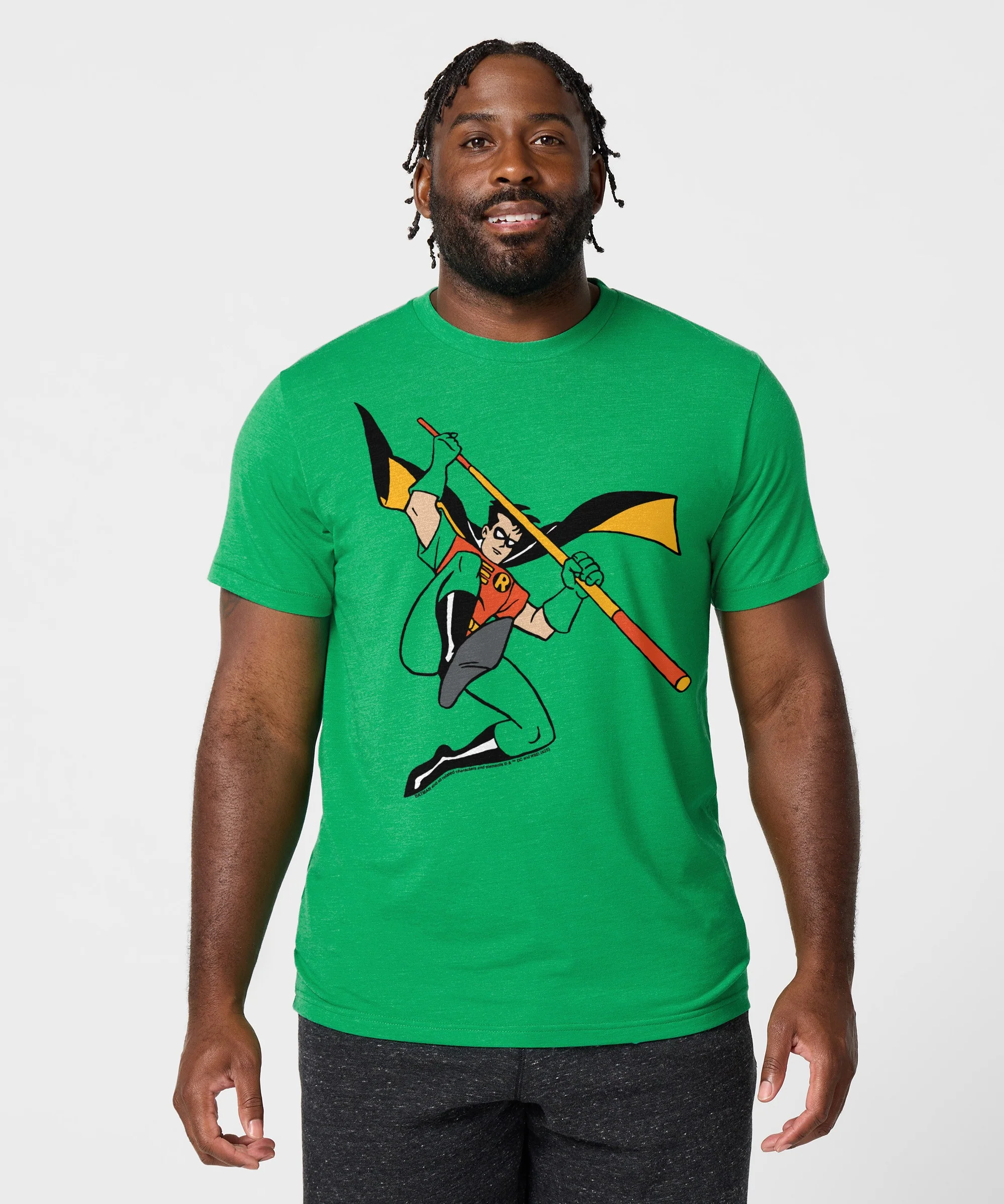 Batman Robin Character - Image 3