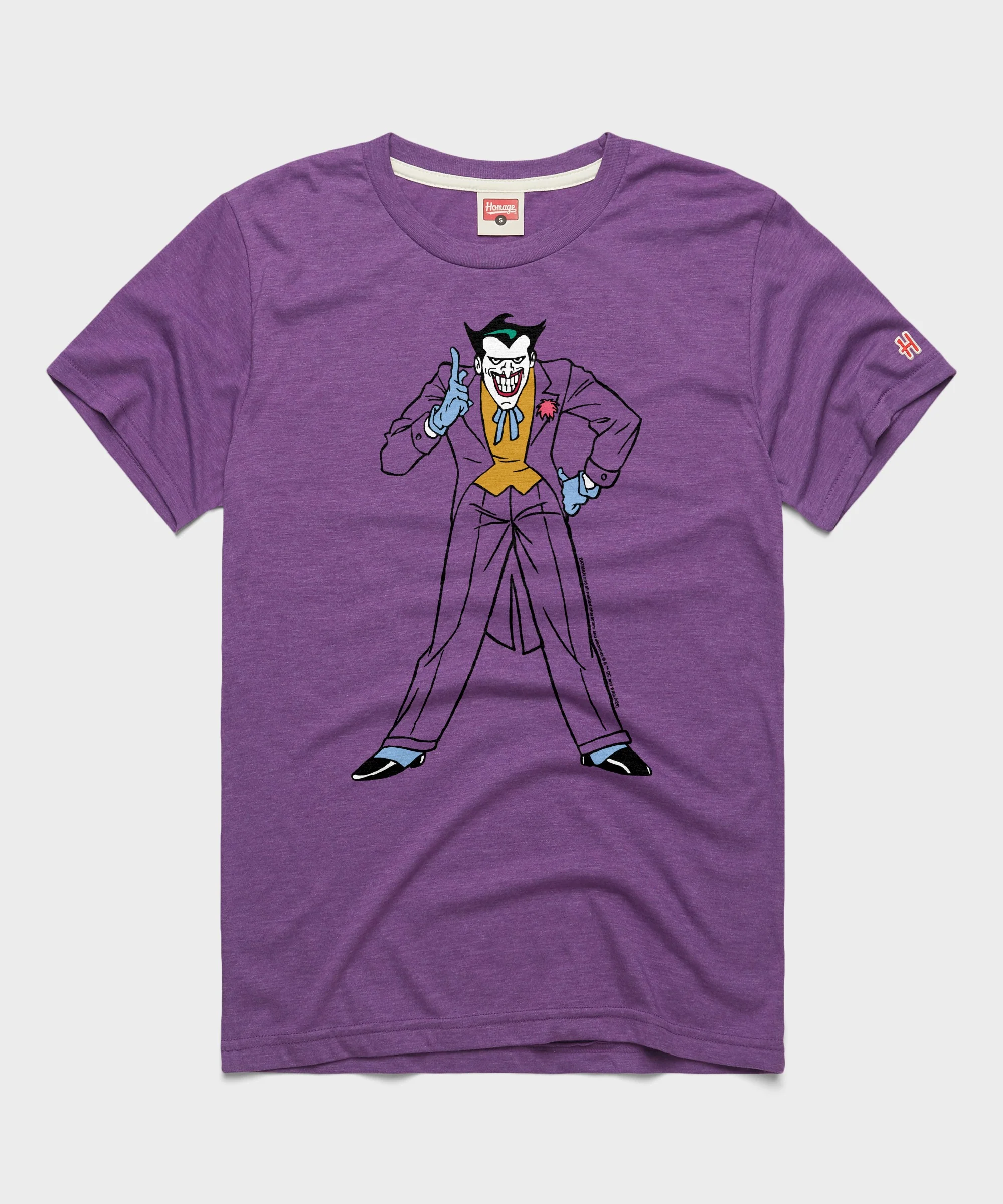 Batman The Joker Character