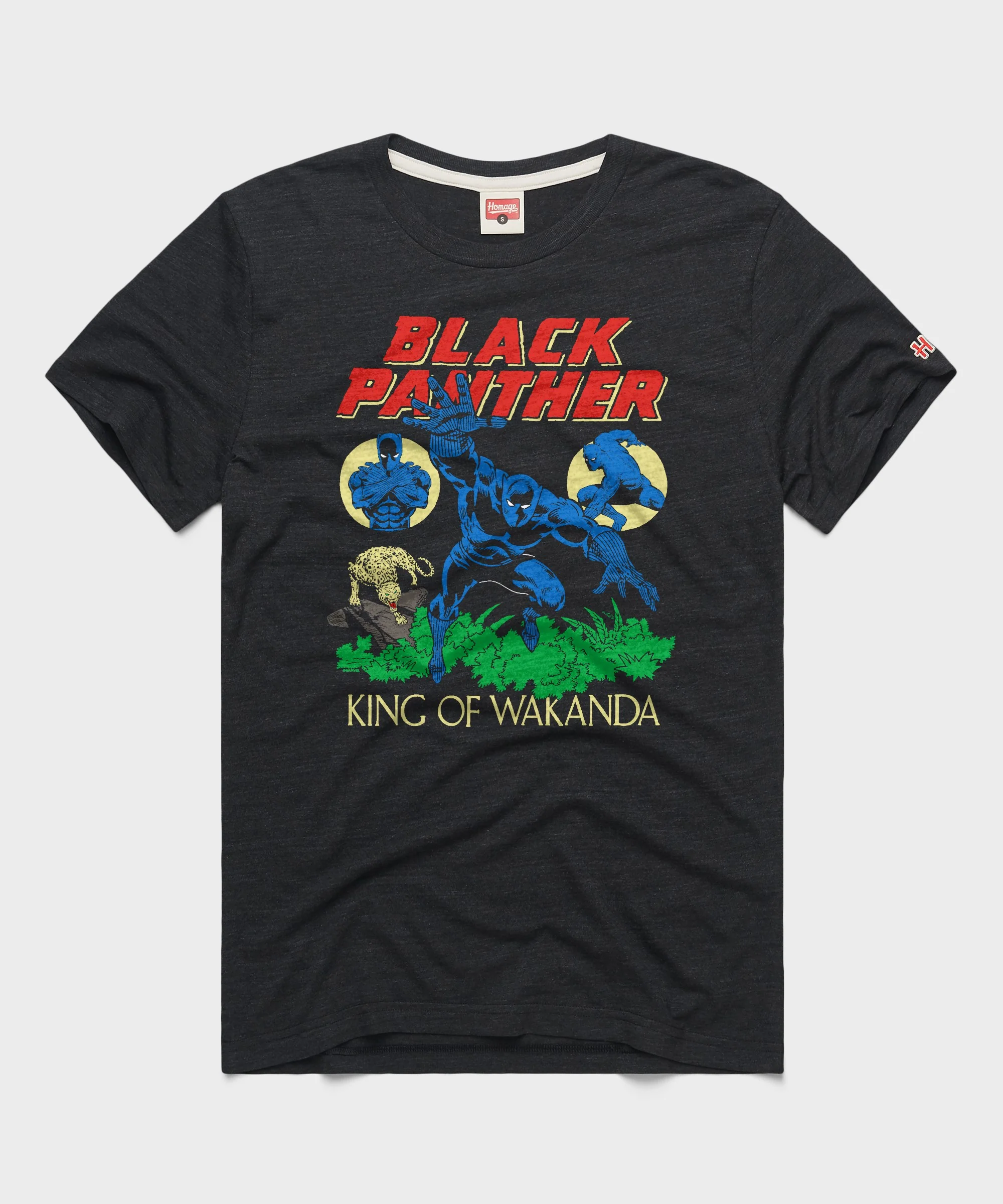 Black Panther The King Of Wakanda