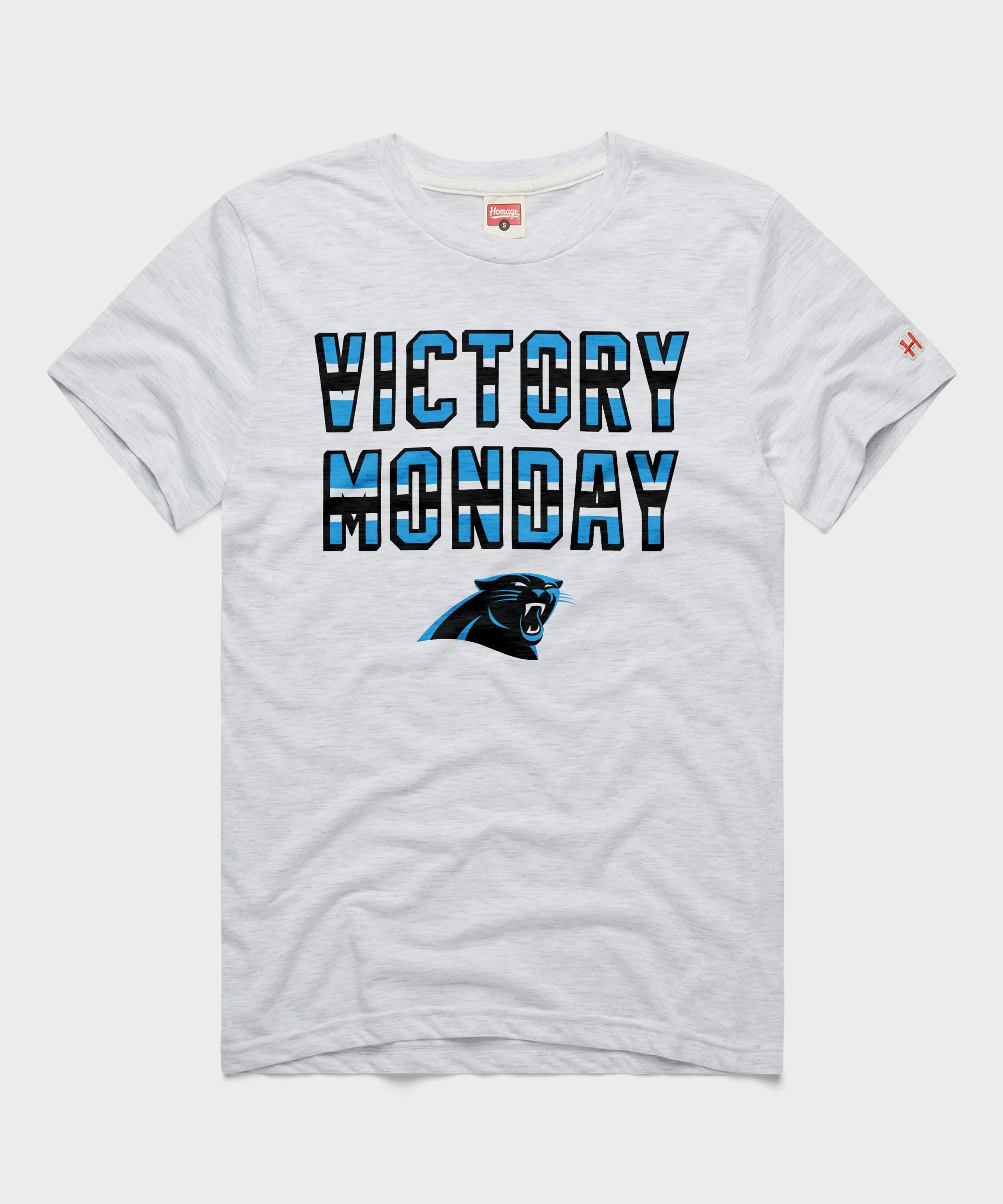 Carolina Panthers Victory Monday