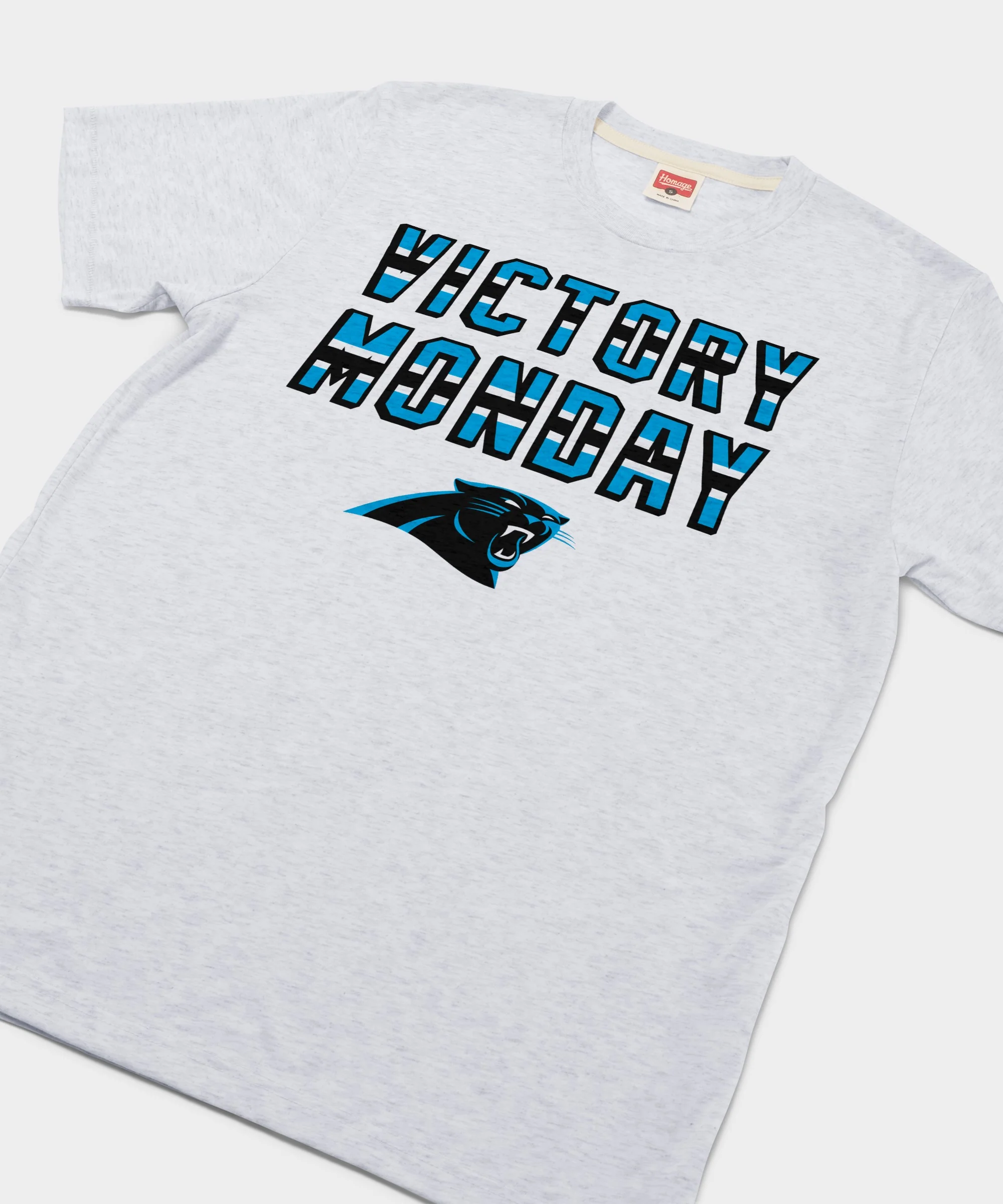 Carolina Panthers Victory Monday - Image 2