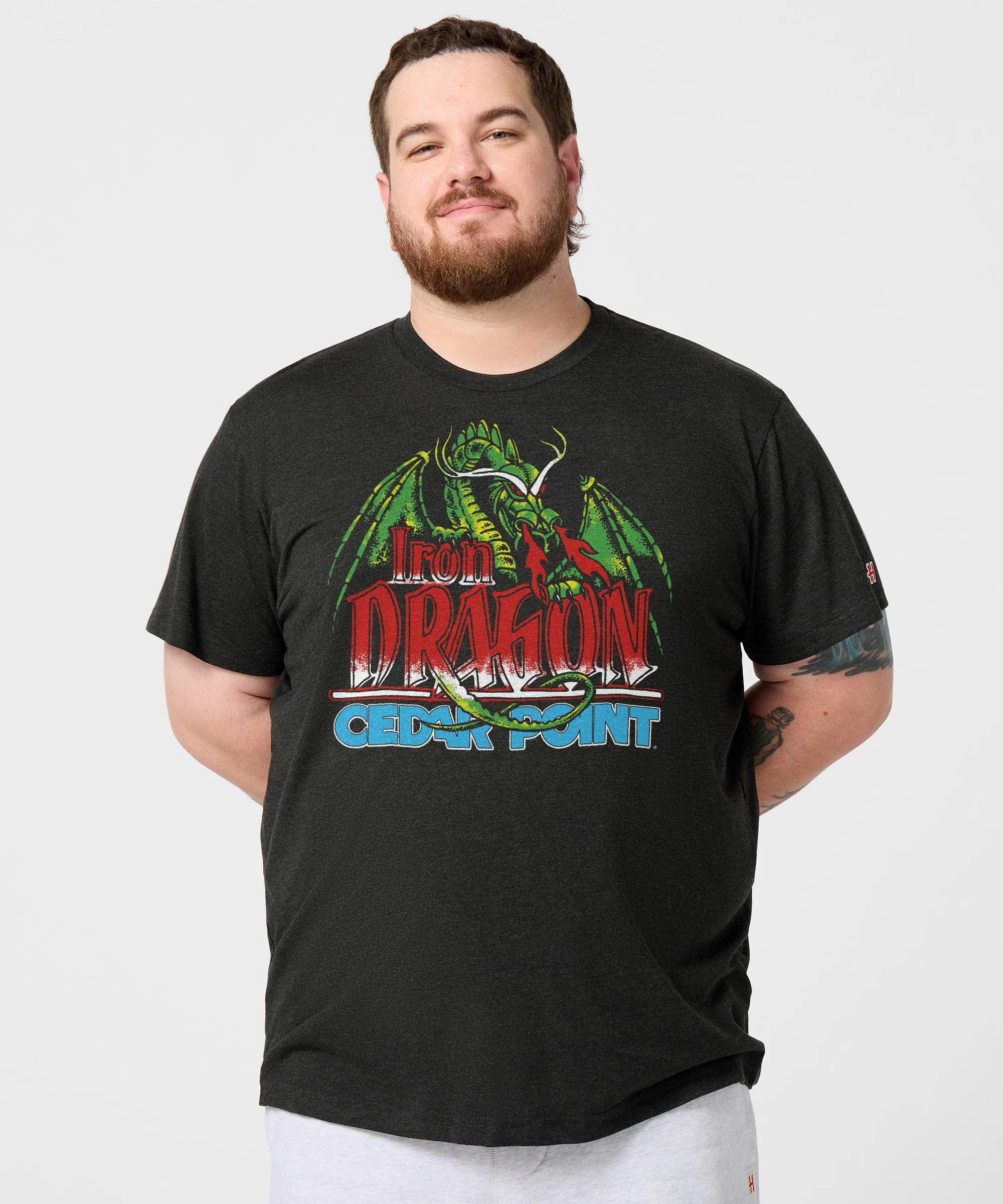 Cedar Point Iron Dragon - Image 3