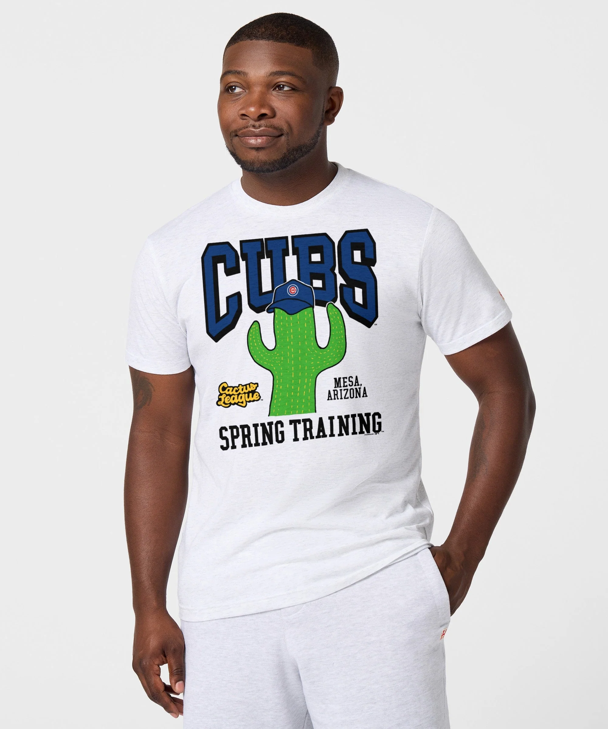 Chicago Cubs Cactus League - Image 3