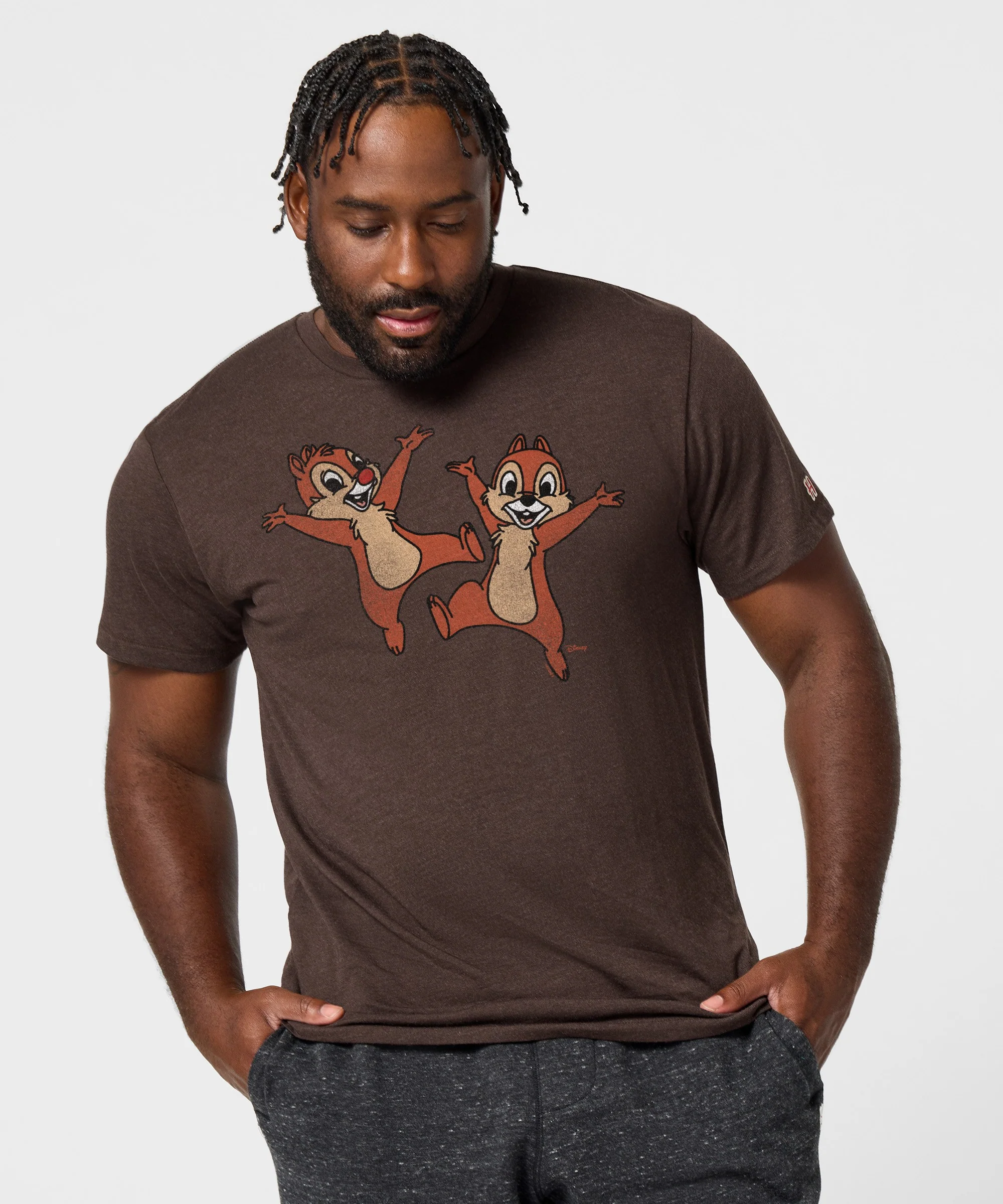 Chip 'n Dale Character - Image 3