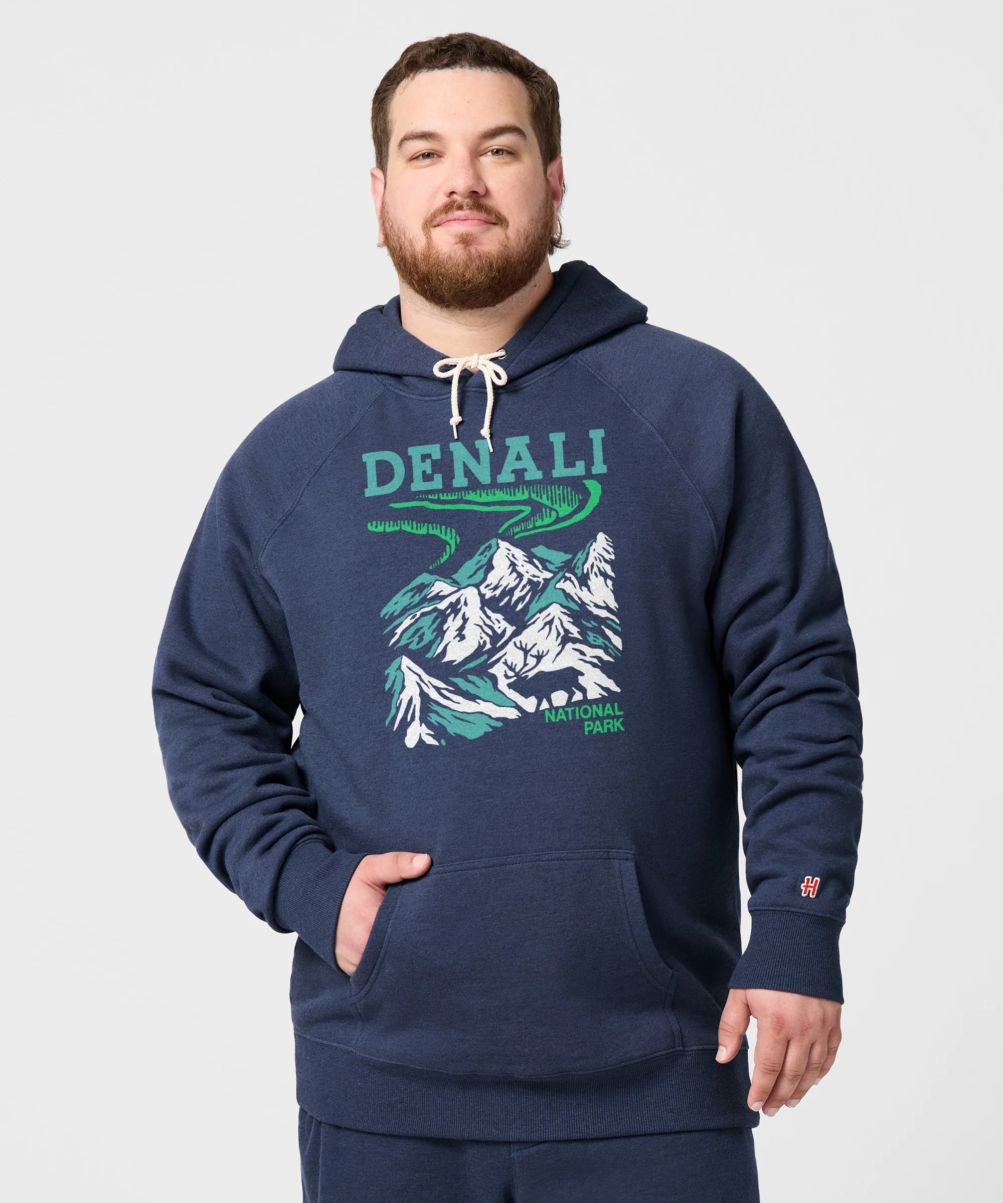Denali National Park Hoodie - Image 3