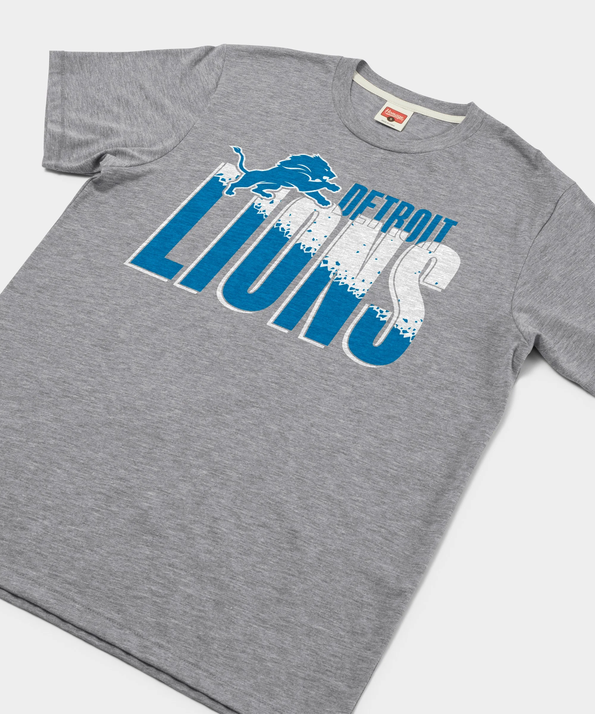 Detroit Lions Color Splash - Image 2