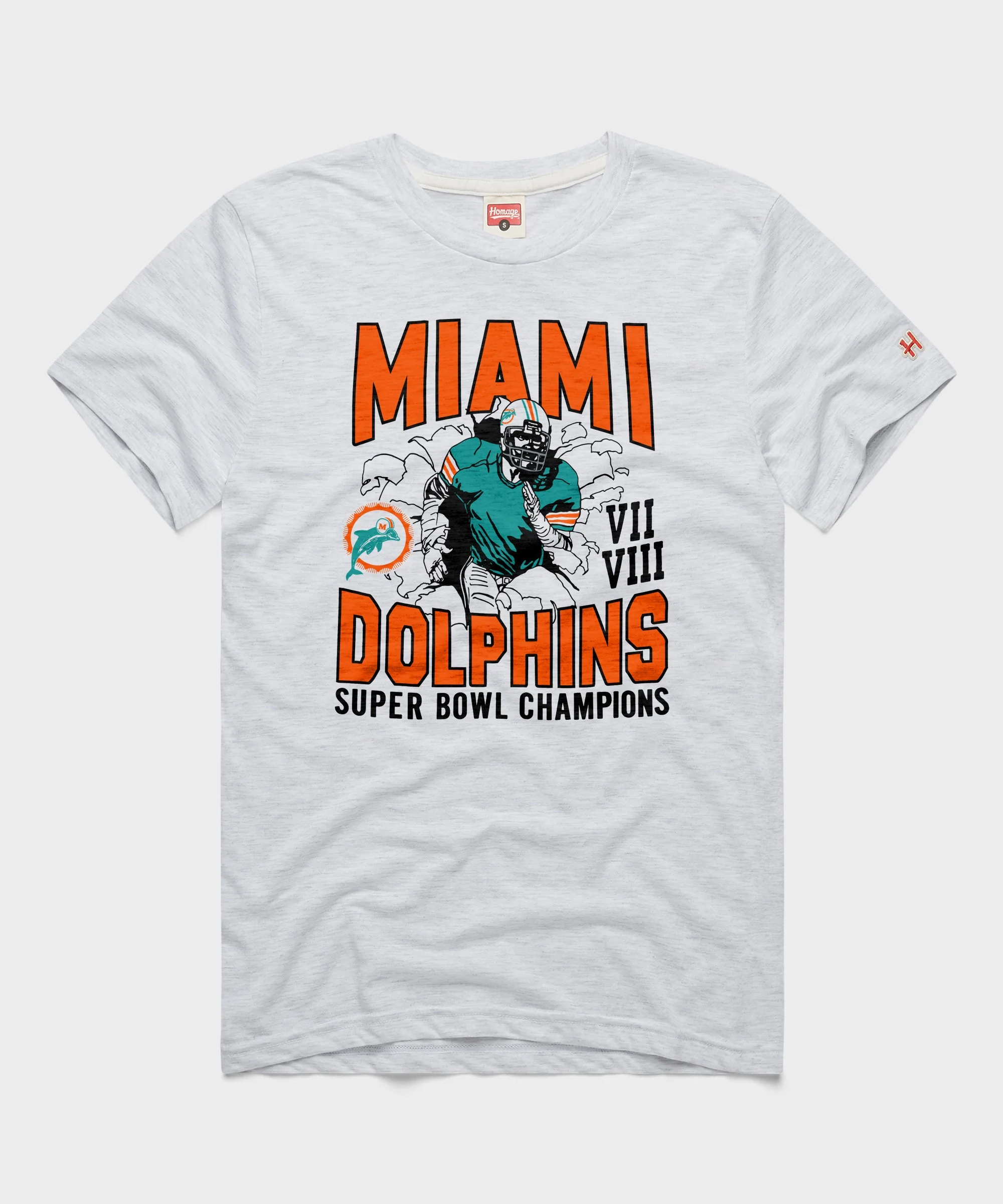 Dolphins 2 Time Super Bowl Champions
