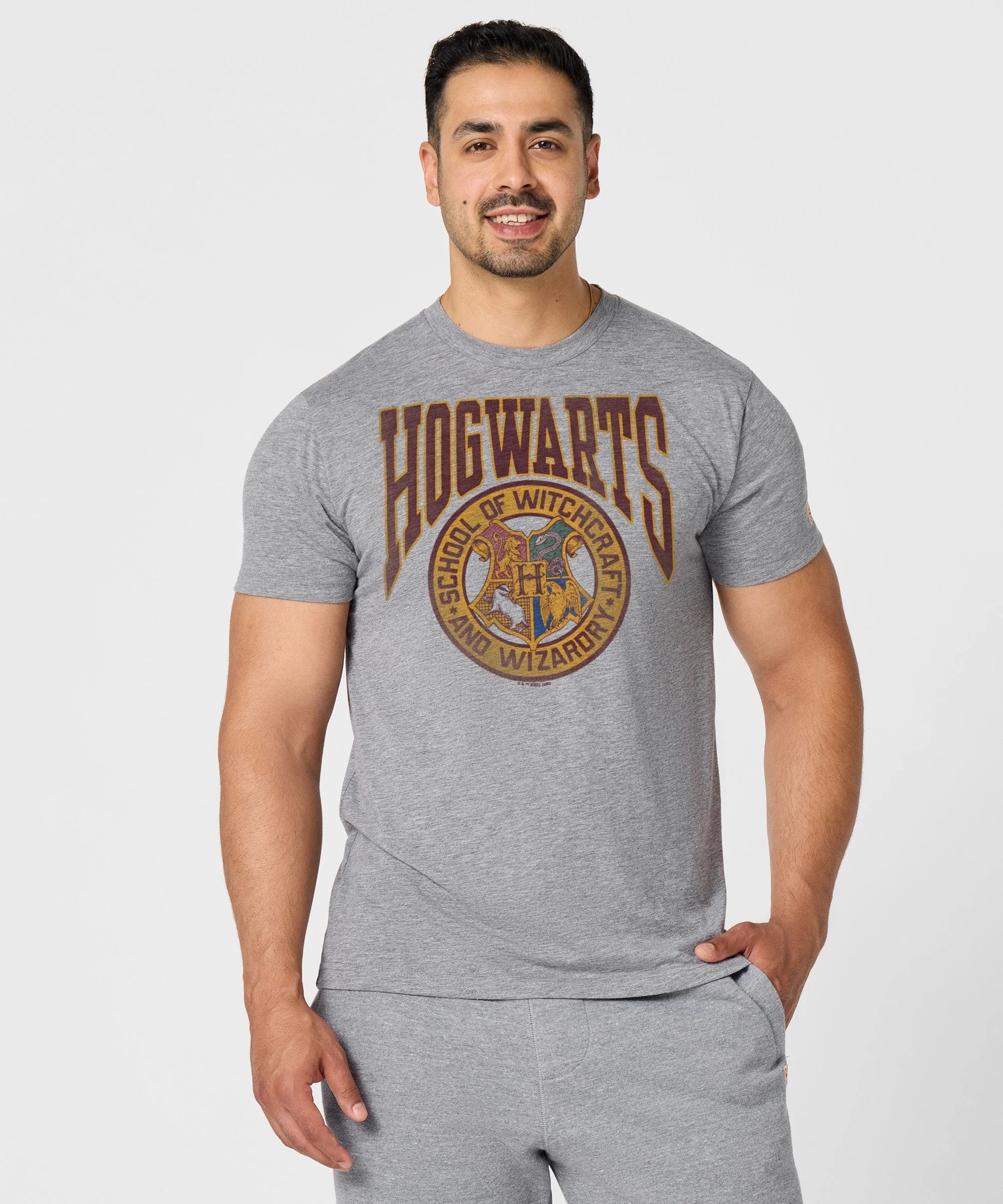 Hogwarts Crest - Image 3