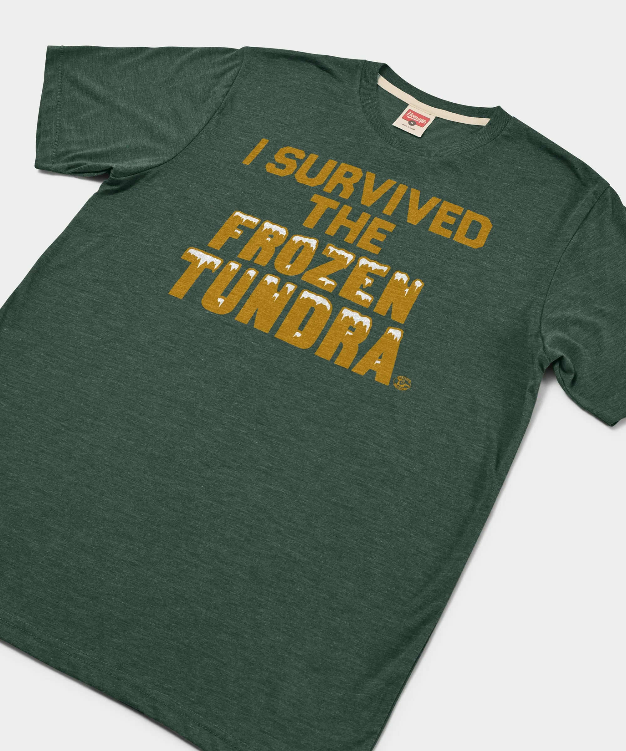 I Survived the Frozen Tundra - Image 2