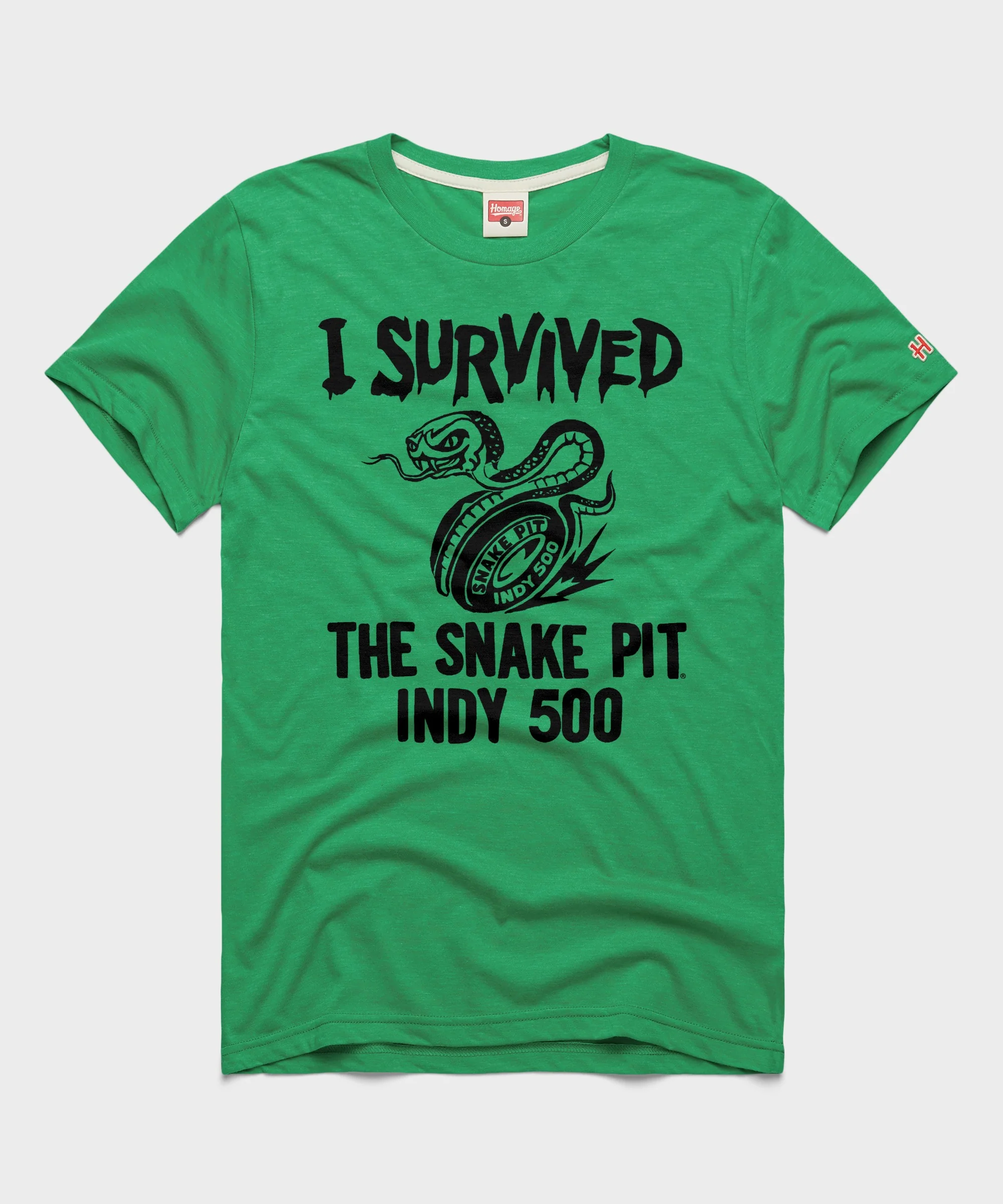 I Survived The Snake Pit Indy 500
