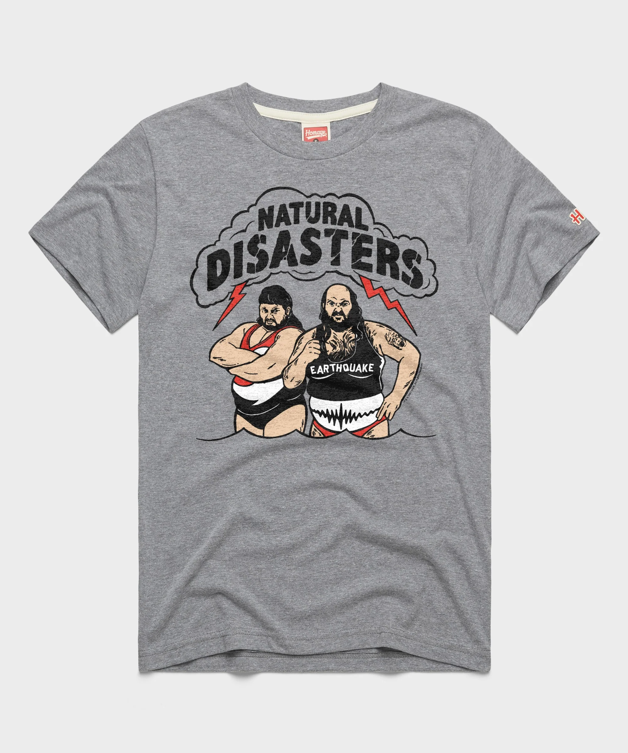 Natural Disasters Tag Team
