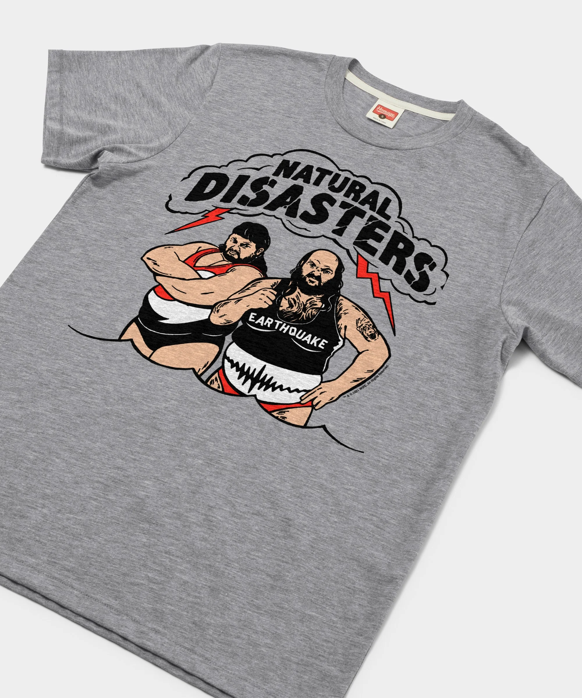 Natural Disasters Tag Team - Image 2