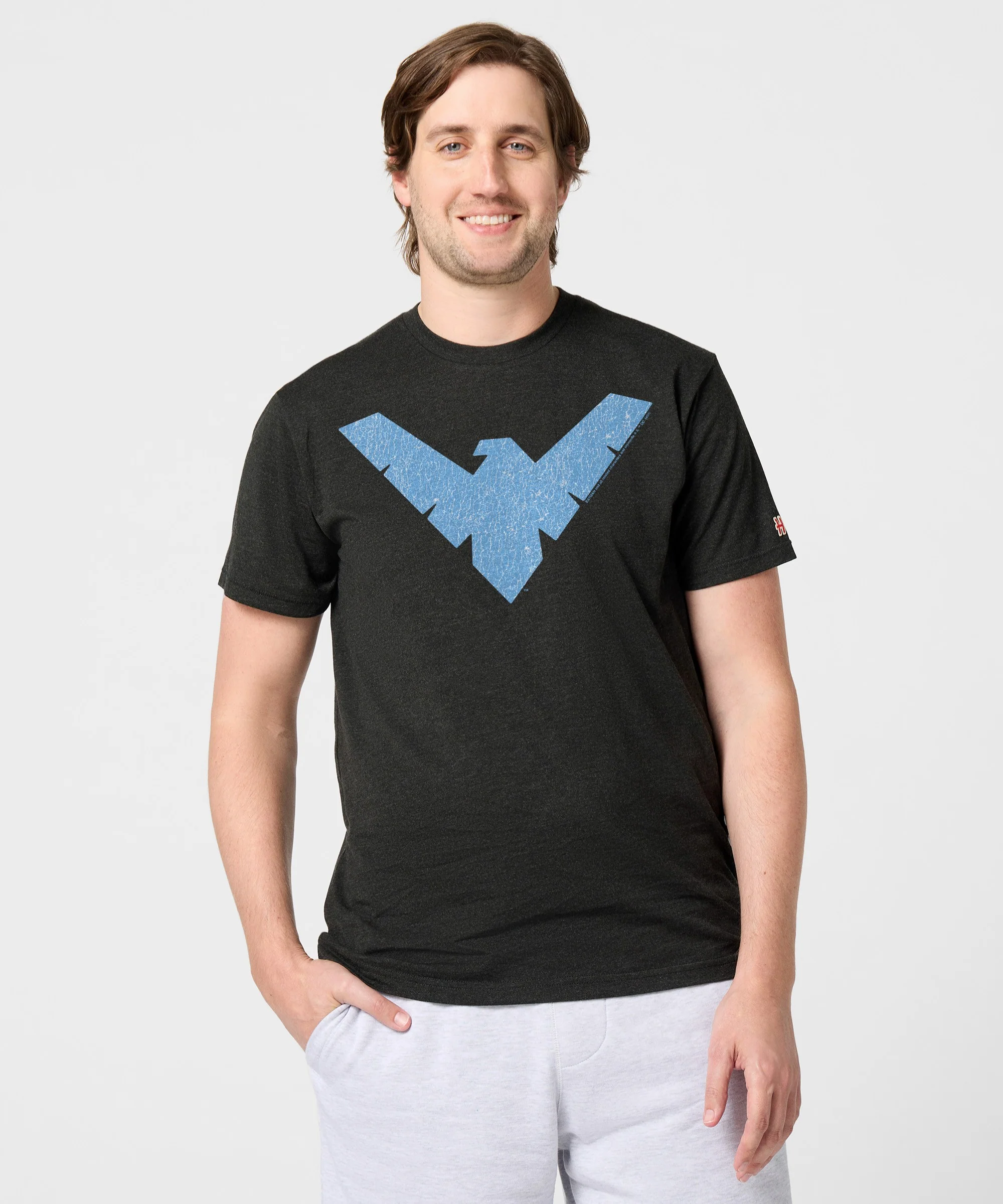 Nightwing Logo - Image 3