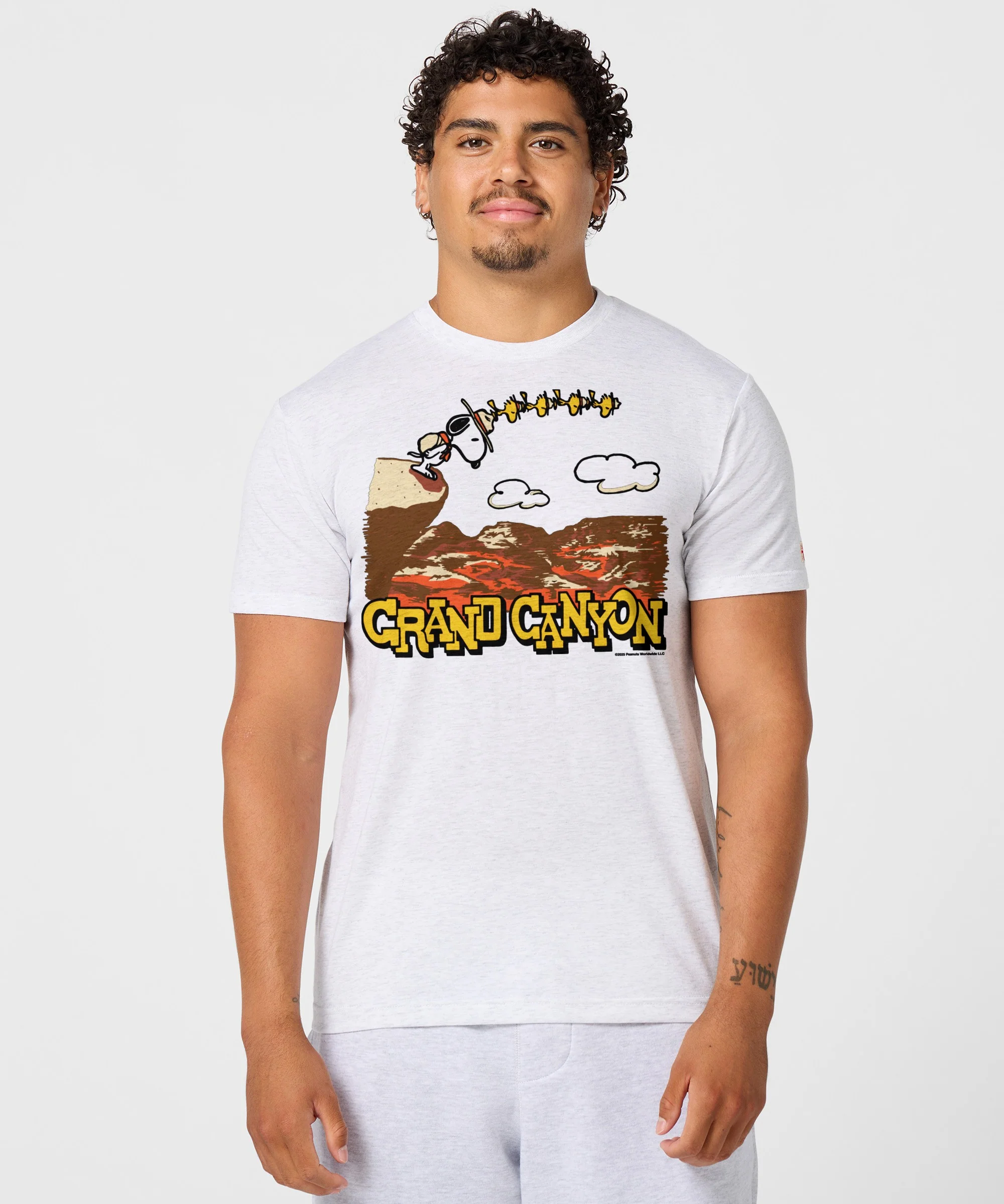 Peanuts Snoopy x Grand Canyon National Park - Image 3