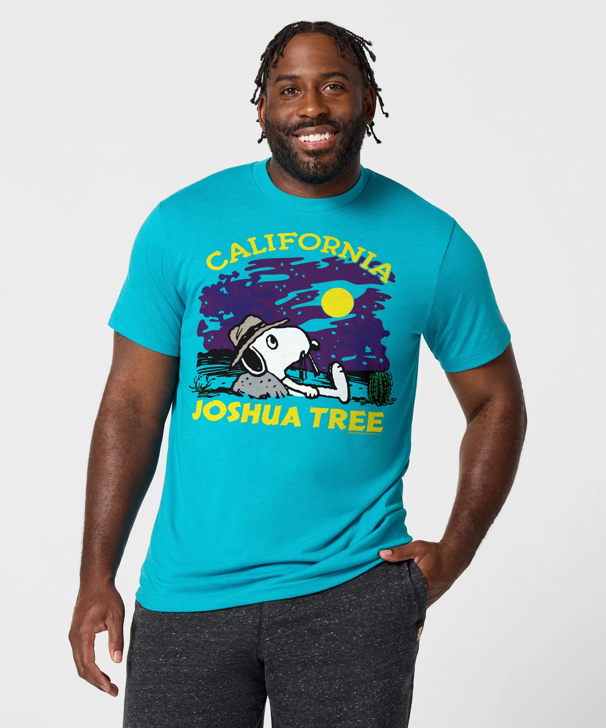 Peanuts Snoopy x Joshua Tree National Park - Image 3