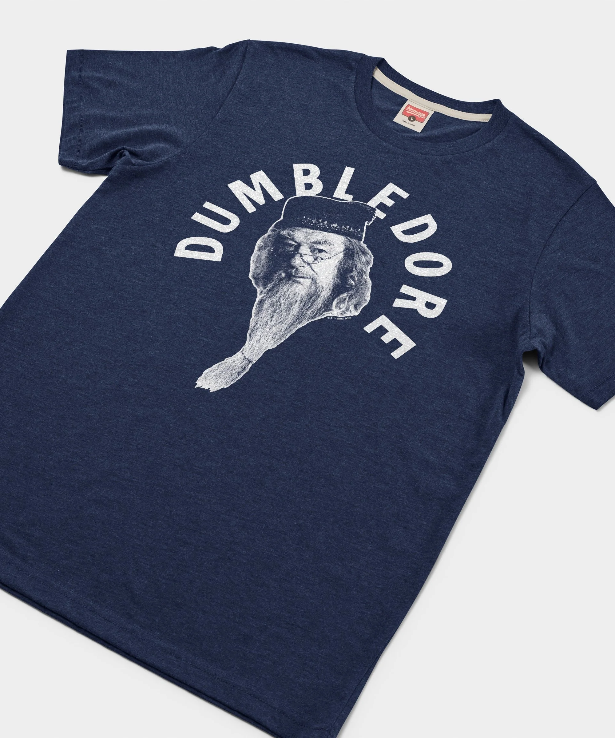 Professor Dumbledore - Image 2