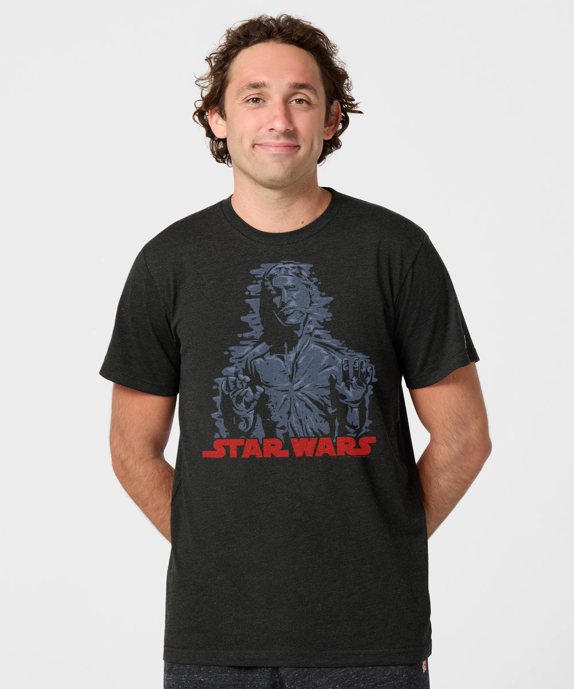 Star Wars Han In Carbonite - Image 3