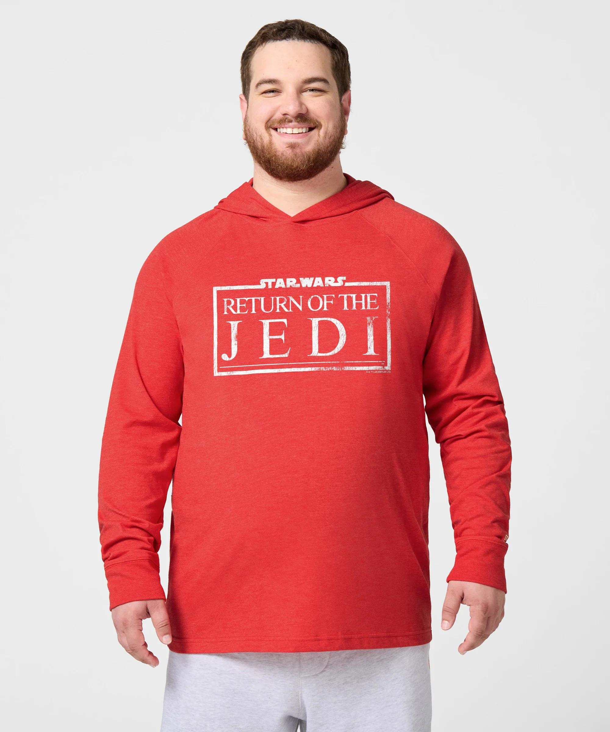 Star Wars Return Of The Jedi Logo Lightweight Hoodie - Image 3