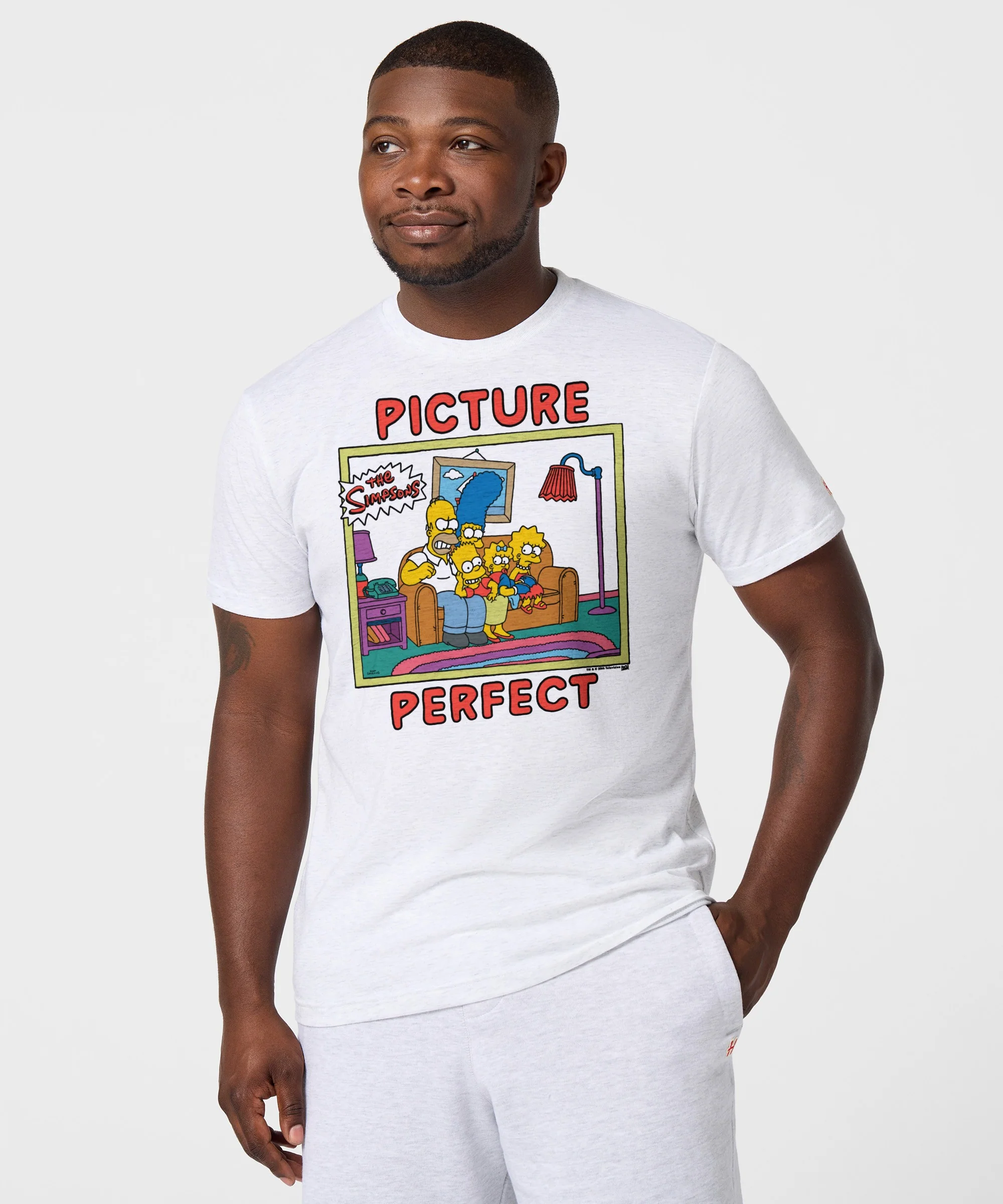 The Simpsons Picture Perfect - Image 3