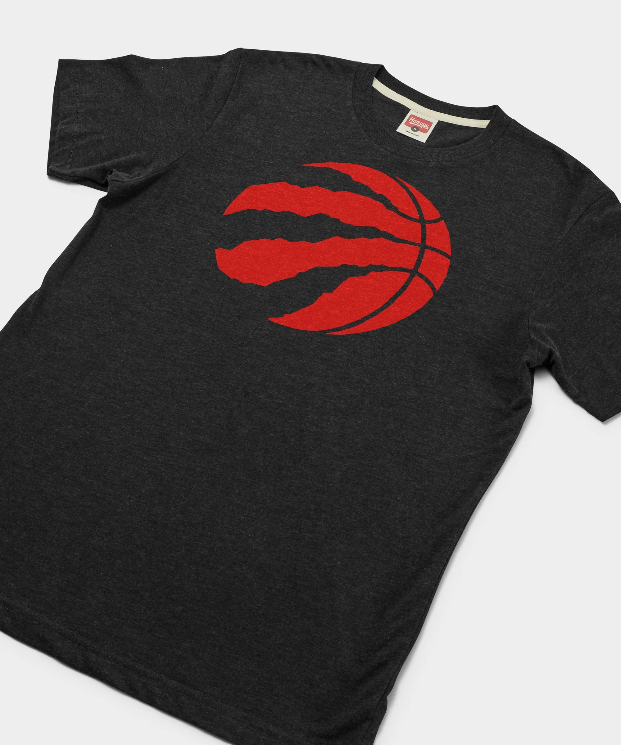 Toronto Raptors Logo - Image 2