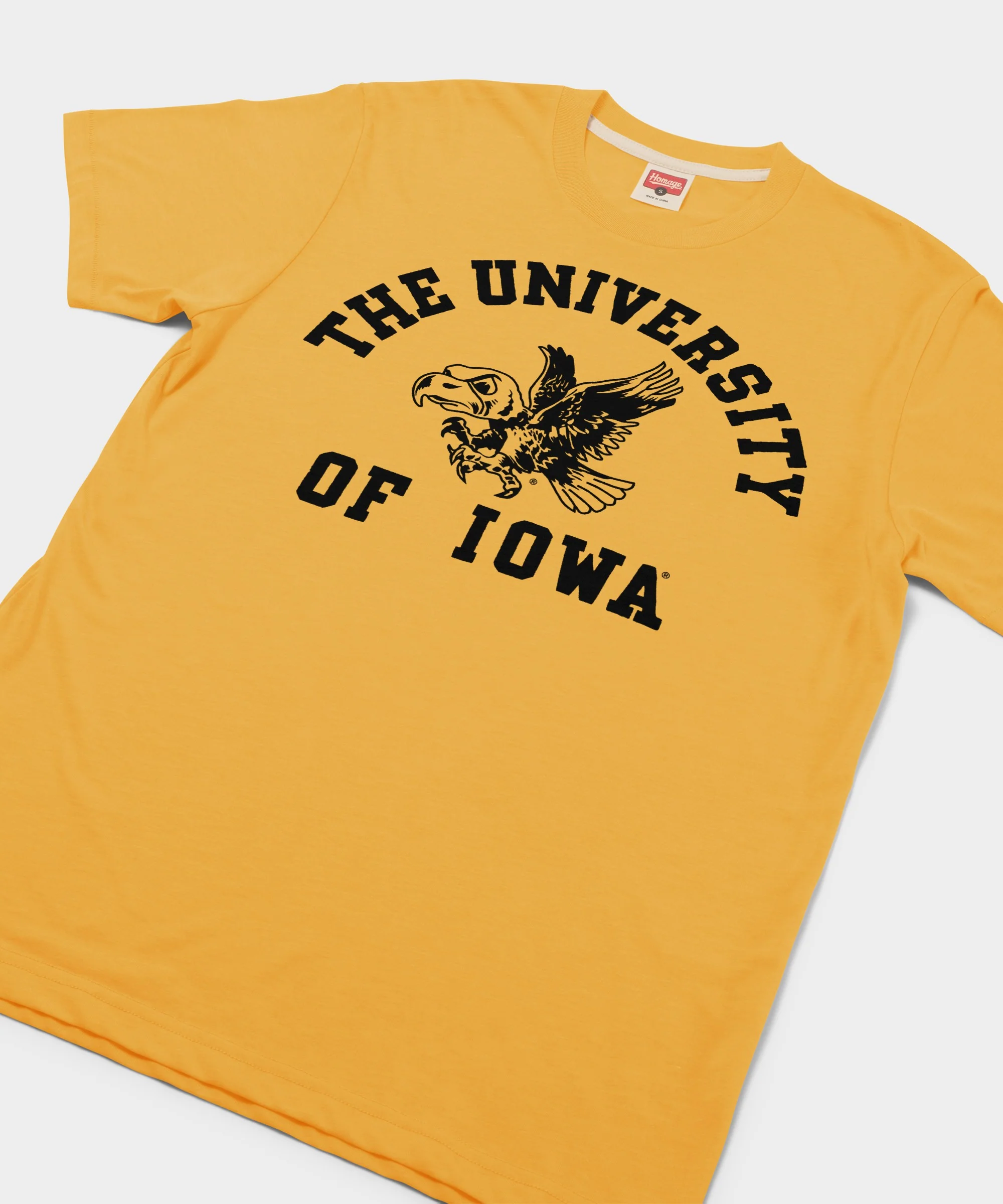 University of Iowa - Image 2