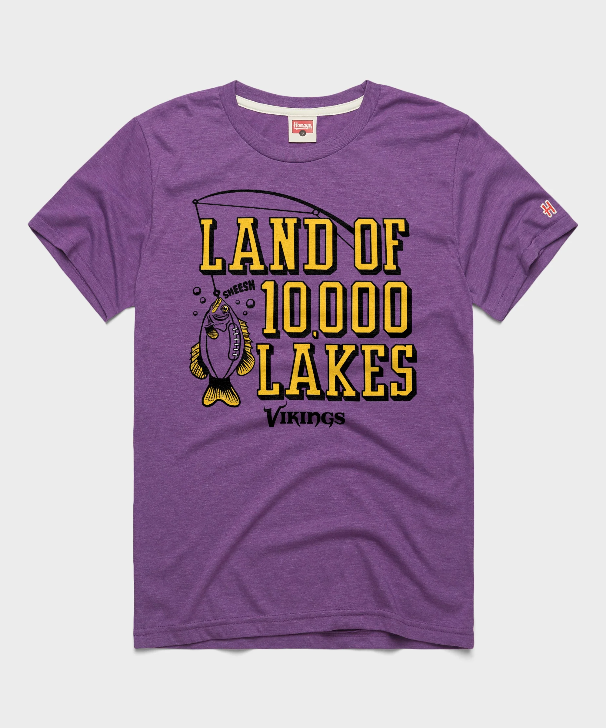 Vikings Land Of 10,000 Lakes