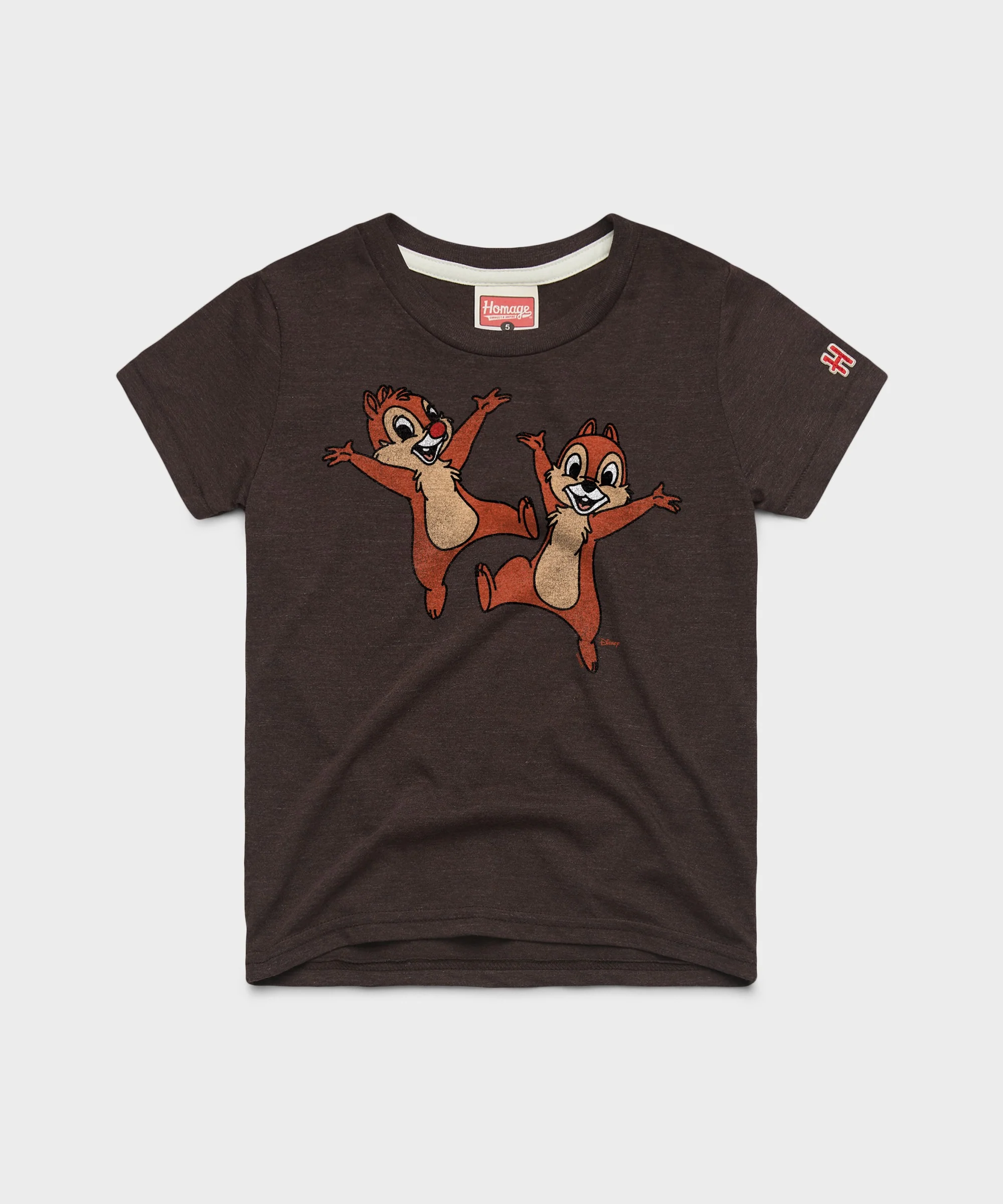 Youth Chip 'n Dale Character