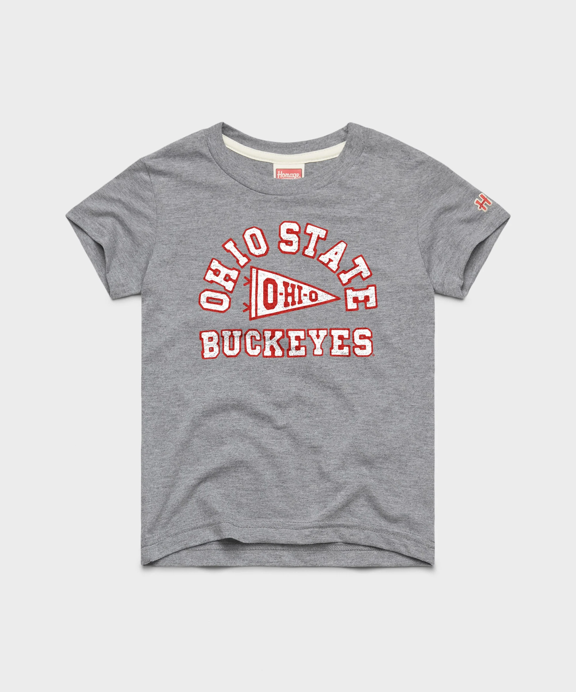 Youth Ohio State Buckeyes Pennant