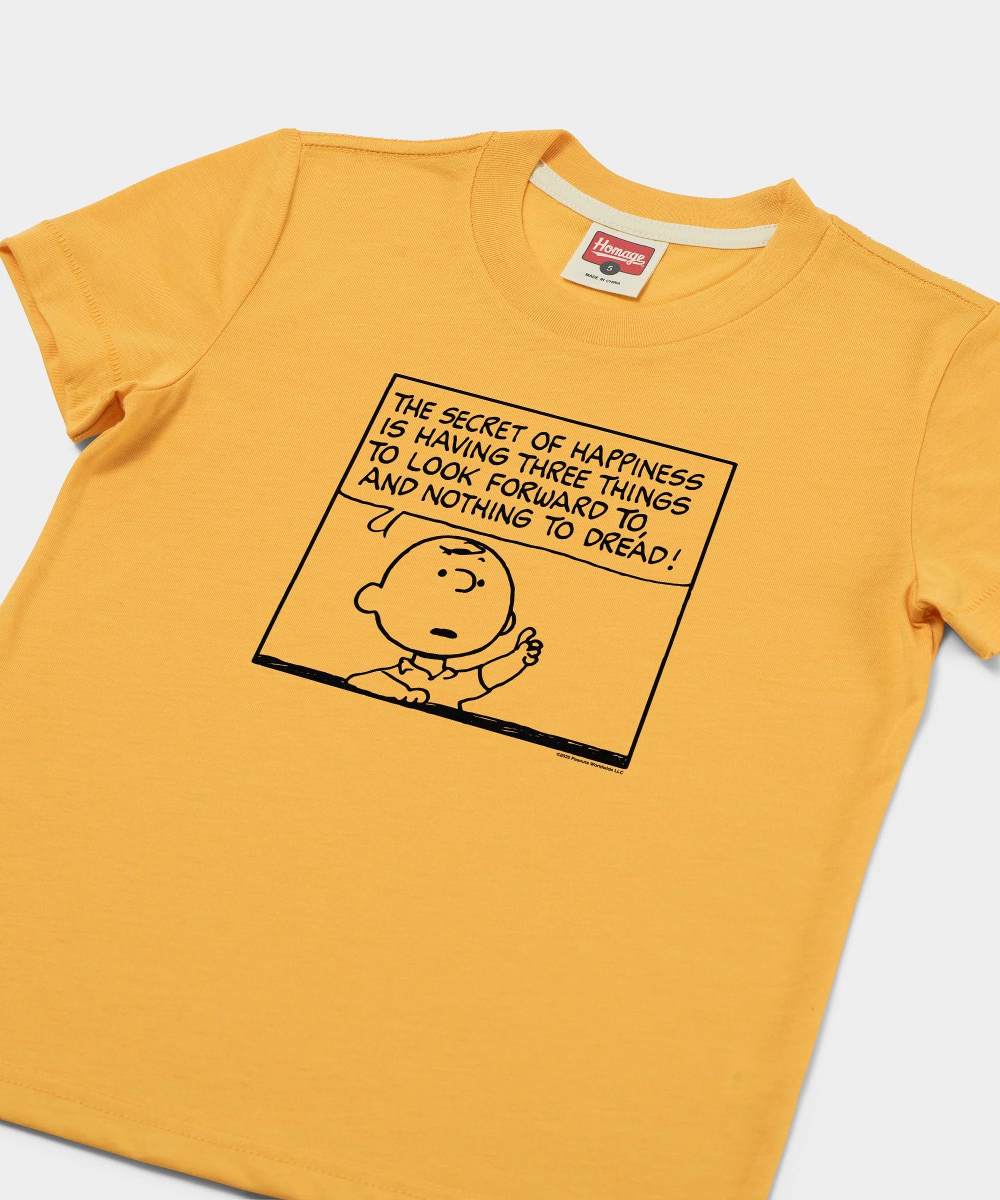 Youth Peanuts Charlie Brown Secret Of Happiness - Image 2