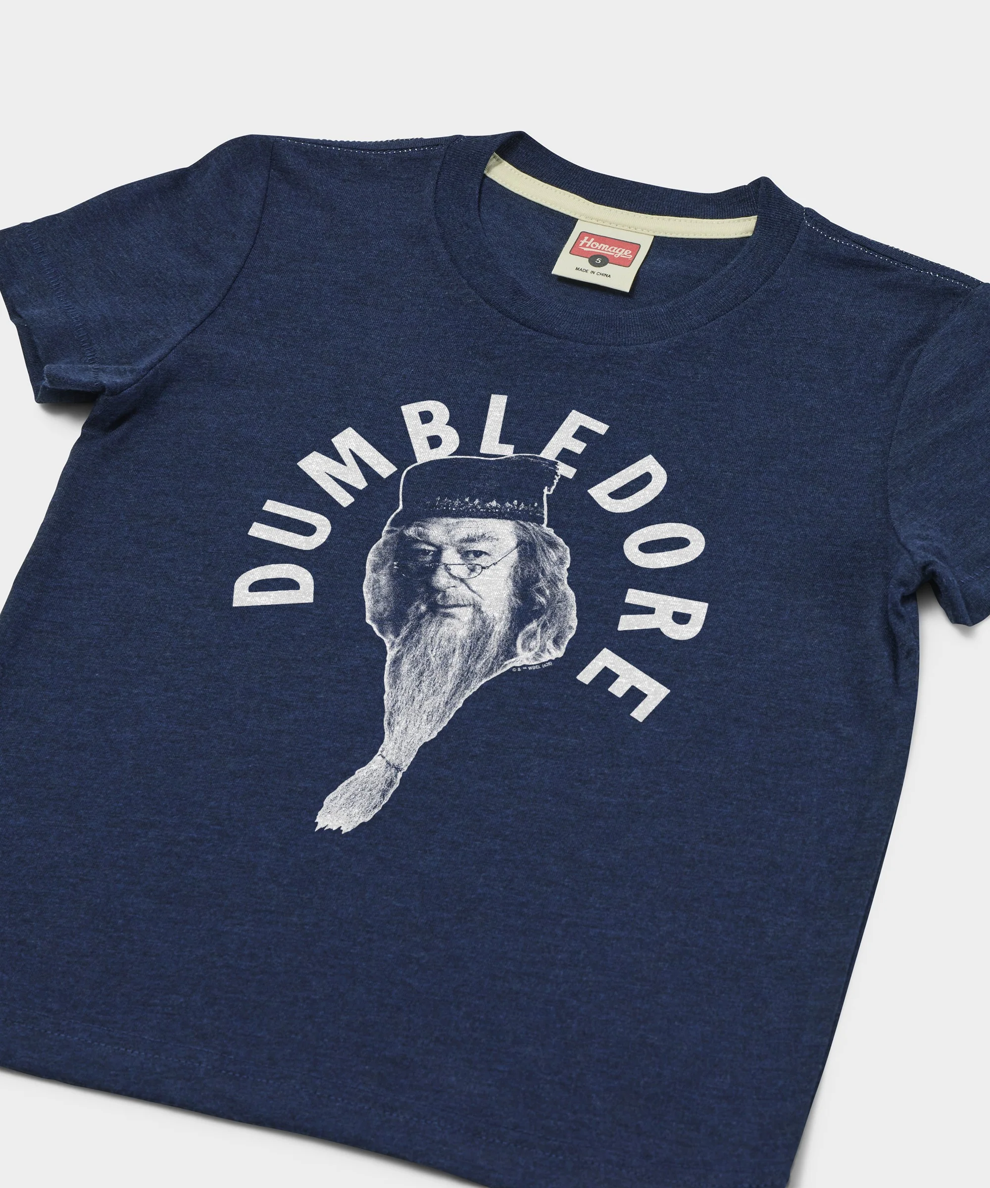 Youth Professor Dumbledore - Image 2