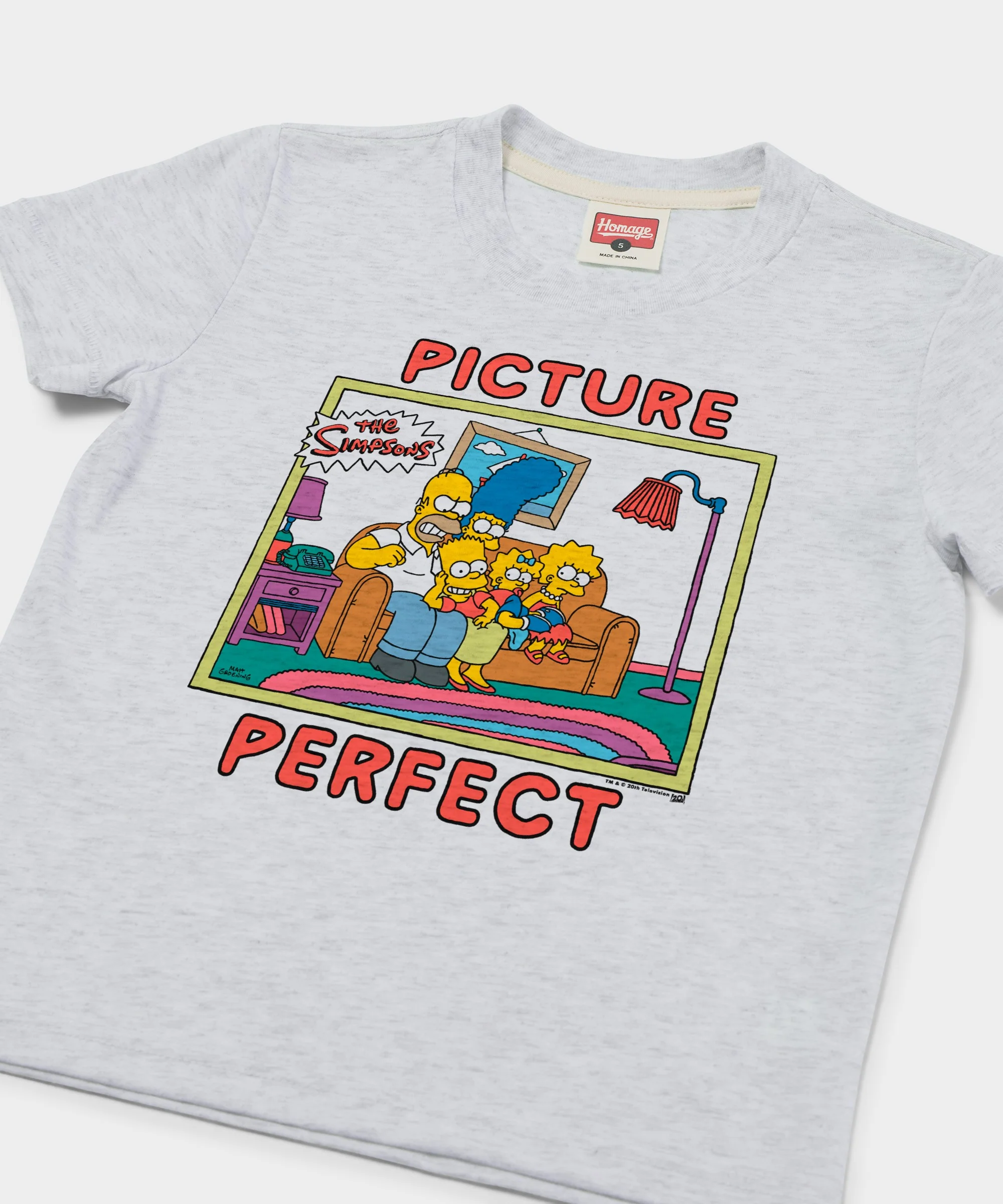 Youth The Simpsons Picture Perfect - Image 2