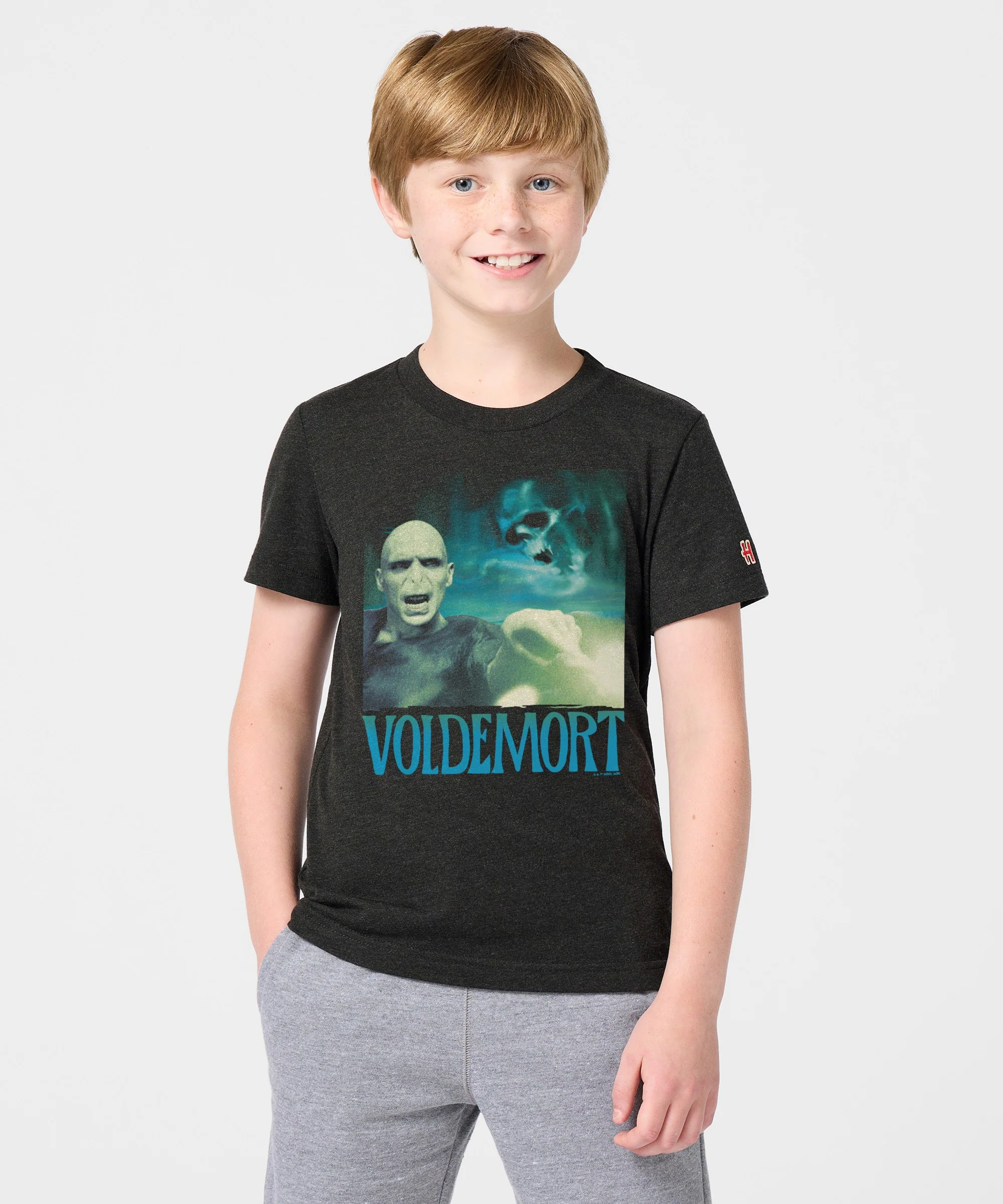Youth Voldemort - Image 3